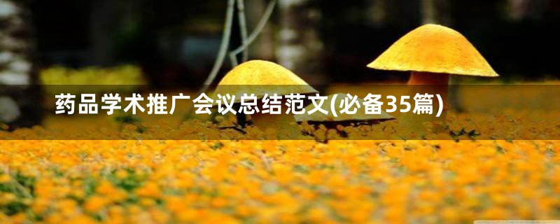 药品学术推广会议总结范文(必备35篇)