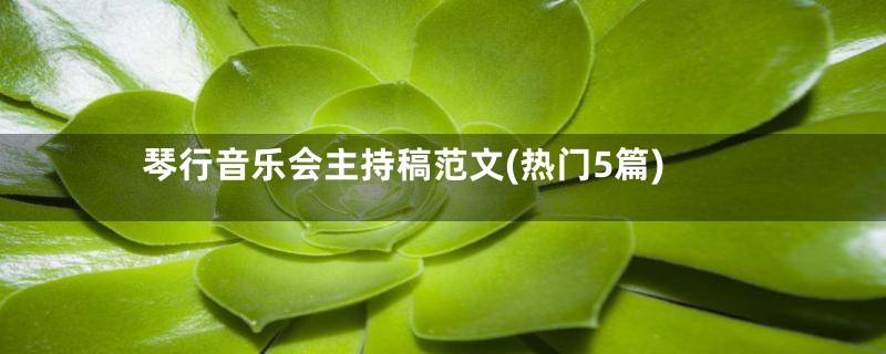 琴行音乐会主持稿范文(热门5篇)