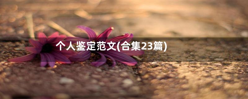 个人鉴定范文(合集23篇)