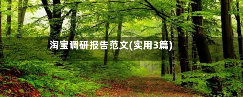 淘宝调研报告范文(实用3篇)
