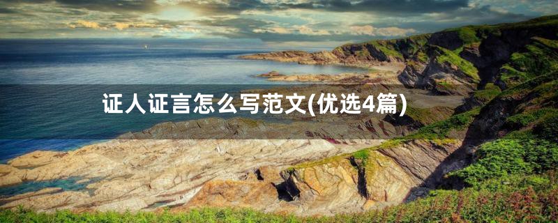 证人证言怎么写范文(优选4篇)