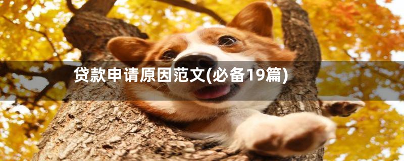 贷款申请原因范文(必备19篇)
