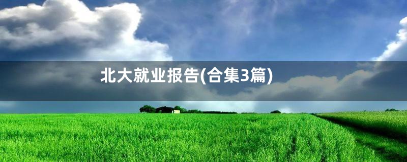 北大就业报告(合集3篇)