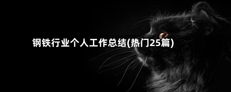 钢铁行业个人工作总结(热门25篇)
