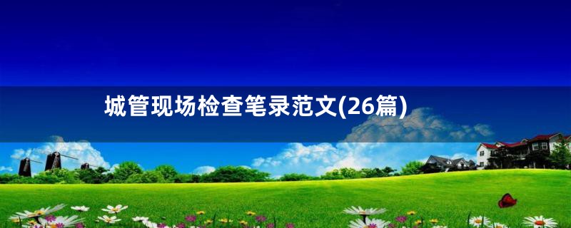 城管现场检查笔录范文(26篇)