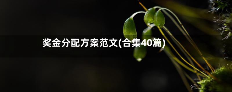 奖金分配方案范文(合集40篇)