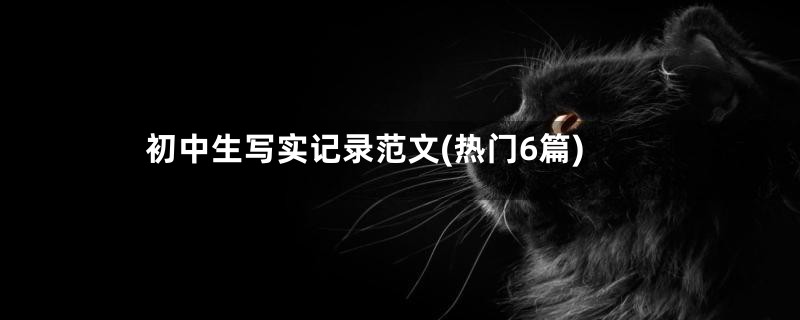 初中生写实记录范文(热门6篇)