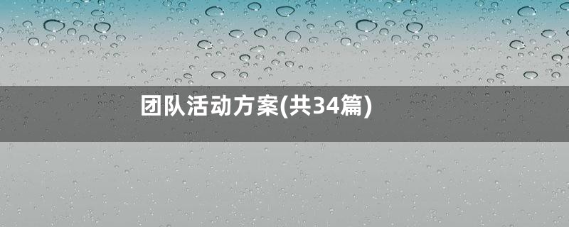 团队活动方案(共34篇)