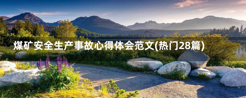 煤矿安全生产事故心得体会范文(热门28篇)