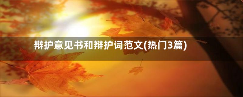 辩护意见书和辩护词范文(热门3篇)