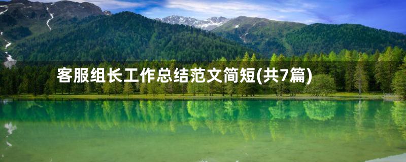 客服组长工作总结范文简短(共7篇)