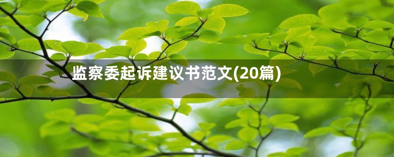 监察委起诉建议书范文(20篇)