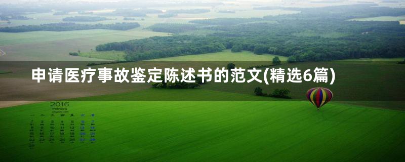 申请医疗事故鉴定陈述书的范文(精选6篇)