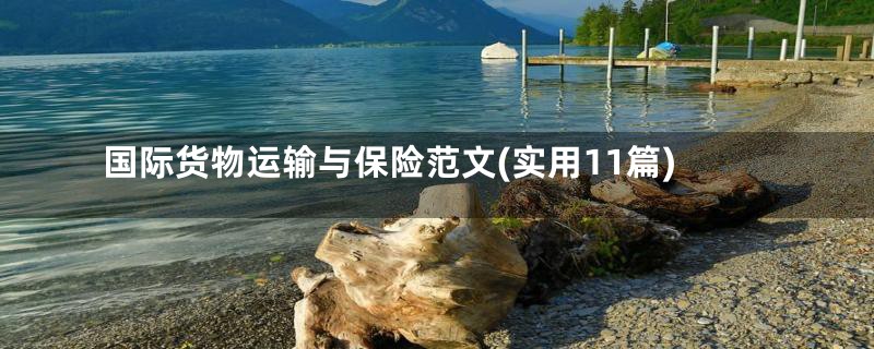 国际货物运输与保险范文(实用11篇)