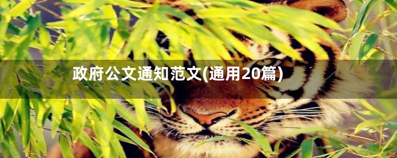 政府公文通知范文(通用20篇)