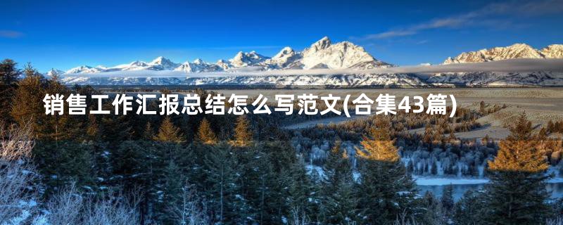 销售工作汇报总结怎么写范文(合集43篇)
