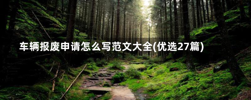车辆报废申请怎么写范文大全(优选27篇)