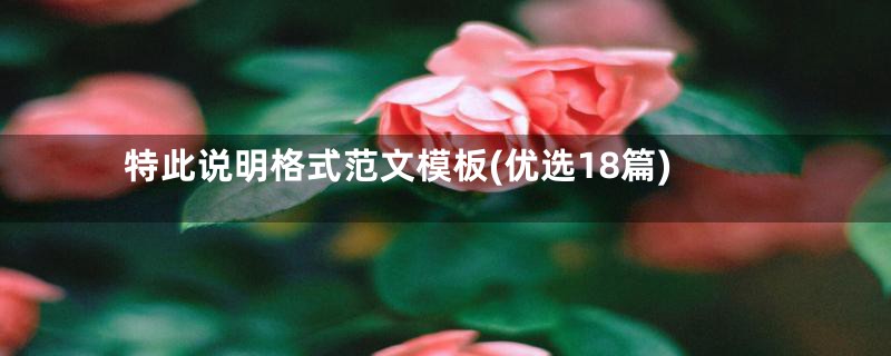 特此说明格式范文模板(优选18篇)