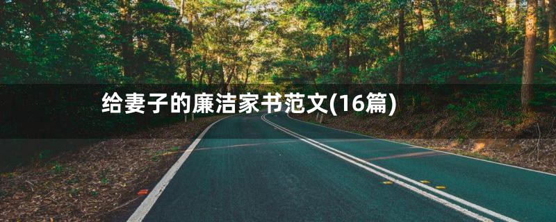 给妻子的廉洁家书范文(16篇)