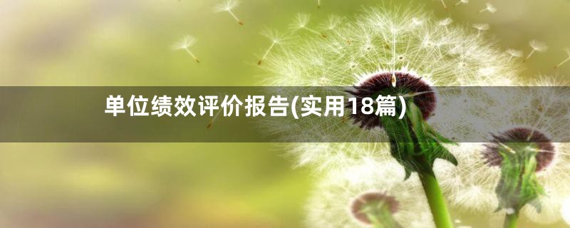 单位绩效评价报告(实用18篇)
