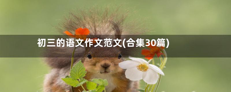 初三的语文作文范文(合集30篇)