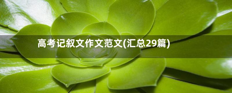 高考记叙文作文范文(汇总29篇)