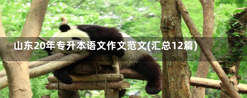 山东20年专升本语文作文范文(汇总12篇)