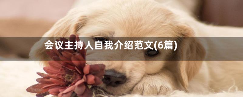 会议主持人自我介绍范文(6篇)