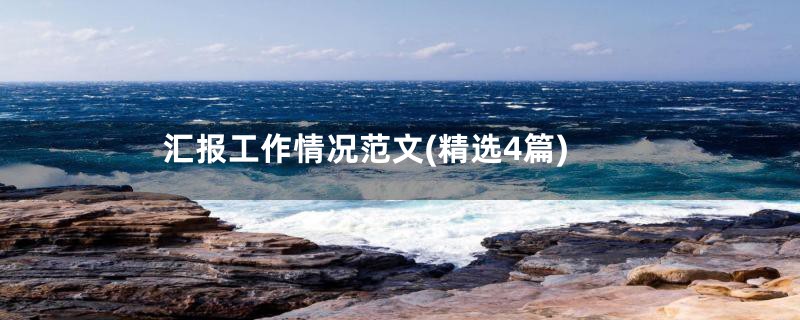 汇报工作情况范文(精选4篇)