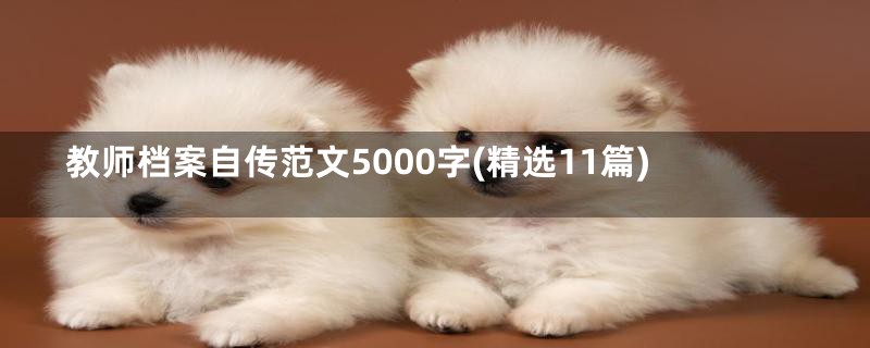 教师档案自传范文5000字(精选11篇)