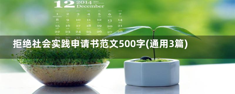 拒绝社会实践申请书范文500字(通用3篇)