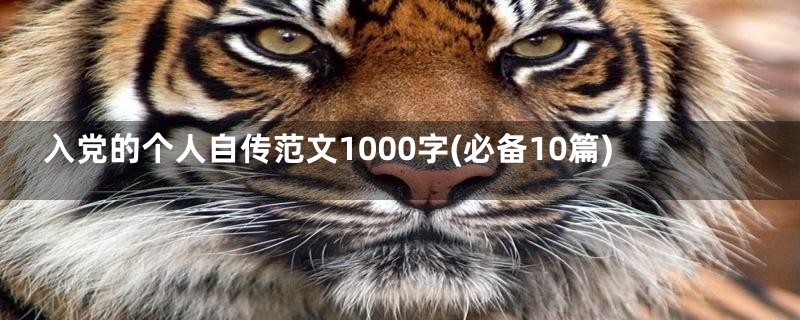 入党的个人自传范文1000字(必备10篇)