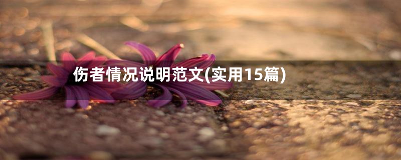 伤者情况说明范文(实用15篇)
