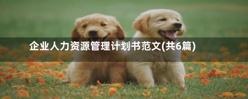 企业人力资源管理计划书范文(共6篇)