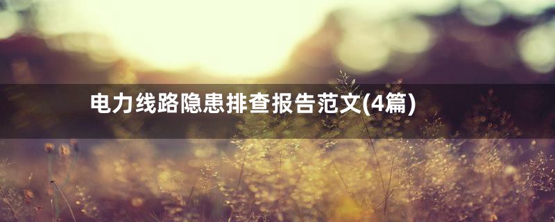 电力线路隐患排查报告范文(4篇)