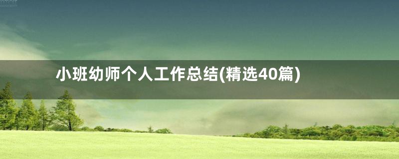 小班幼师个人工作总结(精选40篇)