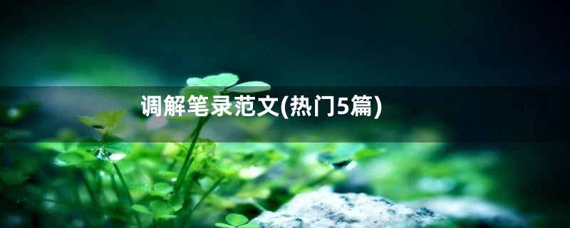 调解笔录范文(热门5篇)