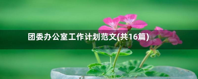 团委办公室工作计划范文(共16篇)