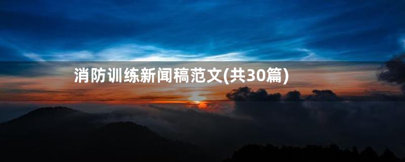 消防训练新闻稿范文(共30篇)