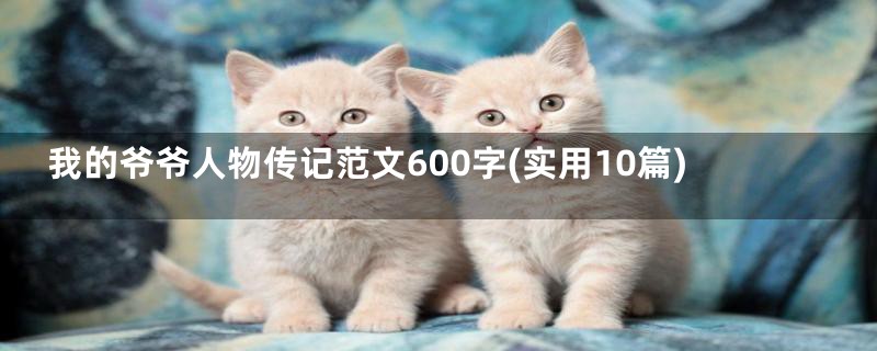 我的爷爷人物传记范文600字(实用10篇)