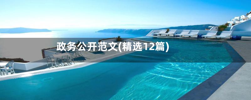 政务公开范文(精选12篇)