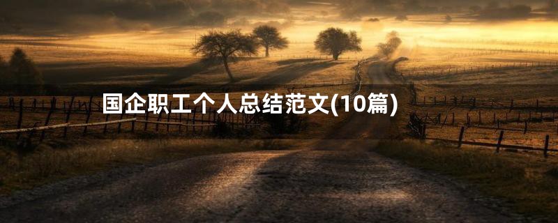 国企职工个人总结范文(10篇)