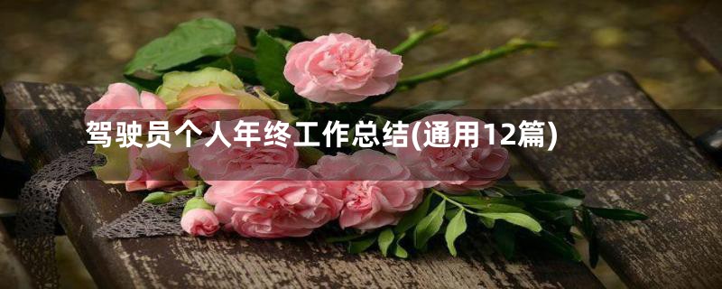 驾驶员个人年终工作总结(通用12篇)