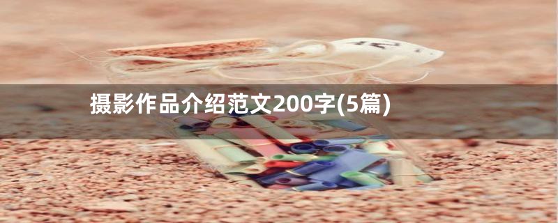 摄影作品介绍范文200字(5篇)