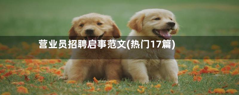营业员招聘启事范文(热门17篇)