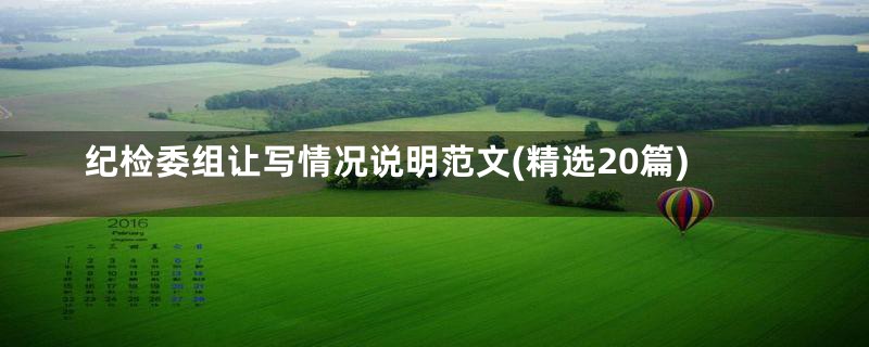 纪检委组让写情况说明范文(精选20篇)