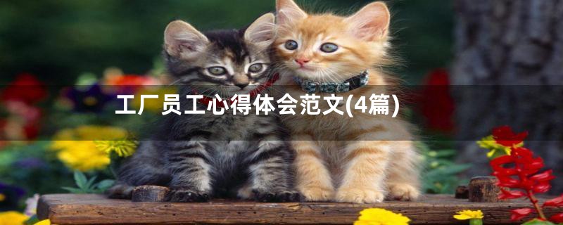 工厂员工心得体会范文(4篇)