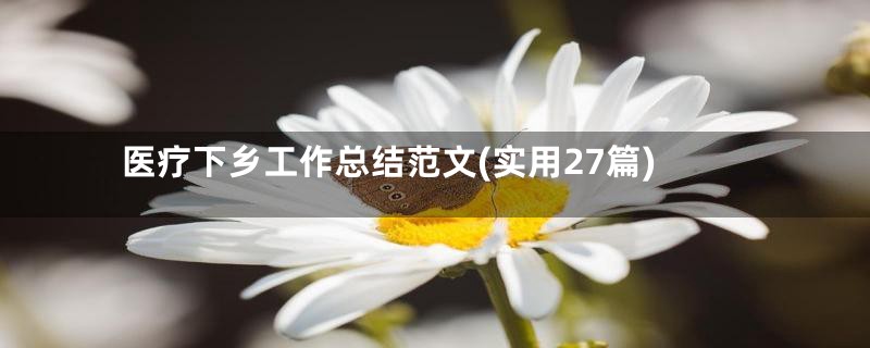 医疗下乡工作总结范文(实用27篇)