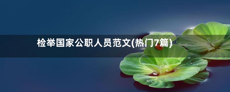 检举国家公职人员范文(热门7篇)