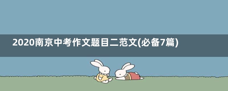 2020南京中考作文题目二范文(必备7篇)